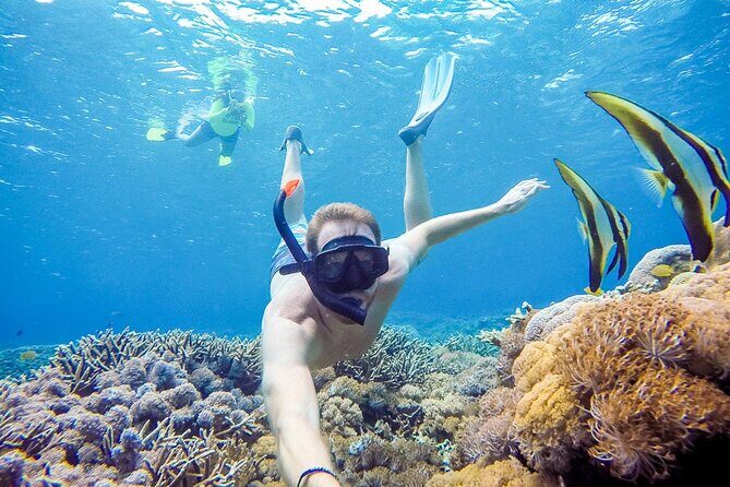 Snorkeling adventure to the manta ray habitat in Nusa Penida - Who Will Love This Experience?