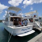 Snorkeling and Dolphin Watching with Lunch Package - The Itinerary in Detail