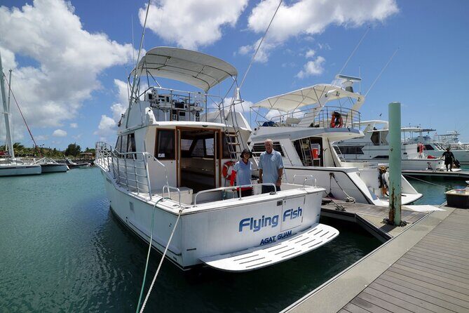 Snorkeling and Dolphin Watching with Lunch Package - The Itinerary in Detail