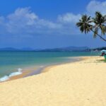 Snorkeling And Fishing To The South Phu Quoc - Why This Tour Offers Good Value