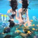Snorkeling Blue Lagoon and Tanjung Jepun All Inclusive - Why This Tour Works Well