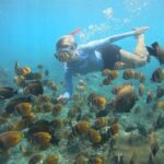 Snorkeling Experience in Nusa Penida with 4 Snorkeling Spots - Exploring the Nusa Penida Snorkeling Tour in Detail