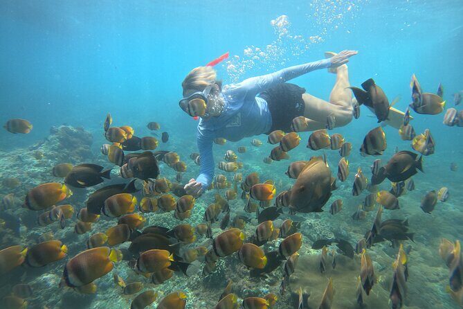 Snorkeling Experience in Nusa Penida with 4 Snorkeling Spots - Exploring the Nusa Penida Snorkeling Tour in Detail