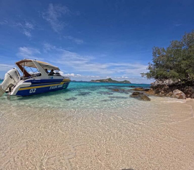 Snorkeling Full Day Experience from Bangkok - What Reviewers Say