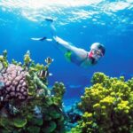Snorkeling in Coral Island, Trincomalee - Additional Practical Tips