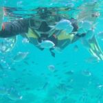 Snorkeling in The Blue Cave from a Boat - The Snorkeling Experience: What You’ll See and Do