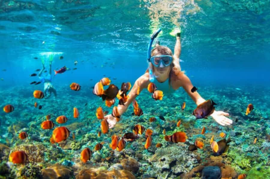 Snorkeling or Jet Ski Experience at Nusa Dua Bali - What to Expect During the Tour