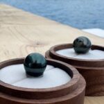 Snorkeling Shark Ray and Discovery DE the Black Pearl in Bora Bora - Potential Drawbacks