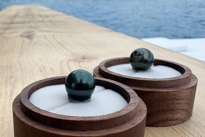 Snorkeling Shark Ray and Discovery DE the Black Pearl in Bora Bora - Potential Drawbacks