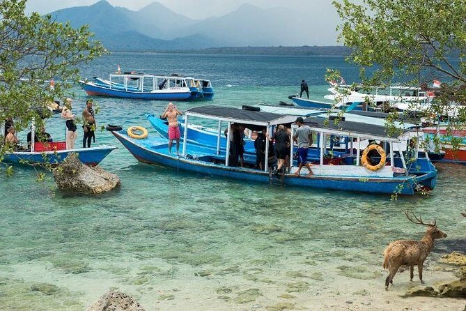 Snorkeling to Menjangan Island - The Experience Quality and Authenticity