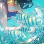 Snorkeling Tour & One Night Camping In Gili Kedis - Whats Included and Whats Not