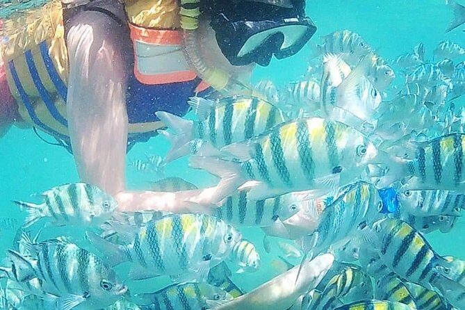 Snorkeling Tour & One Night Camping In Gili Kedis - Whats Included and Whats Not