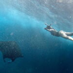 Snorkeling with Manta Rays from Maafushi - How the Tour Unfolds: From Maafushi to the Marine Encounters