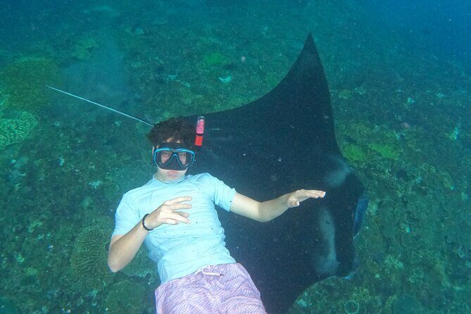 Snorkeling With Manta Rays in Nusa Penida and 4 Other Spots - The Value of the Tour