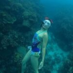 Son Tra Snorkeling Adventure with traditional boat - Whats Included and Why It Adds Value