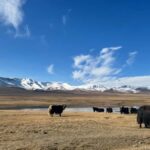 Song-Kul Lake : Kyrgyz Yurts Stay & Horseback Ride (2 DAYS) - Authentic Experiences That Make It Special