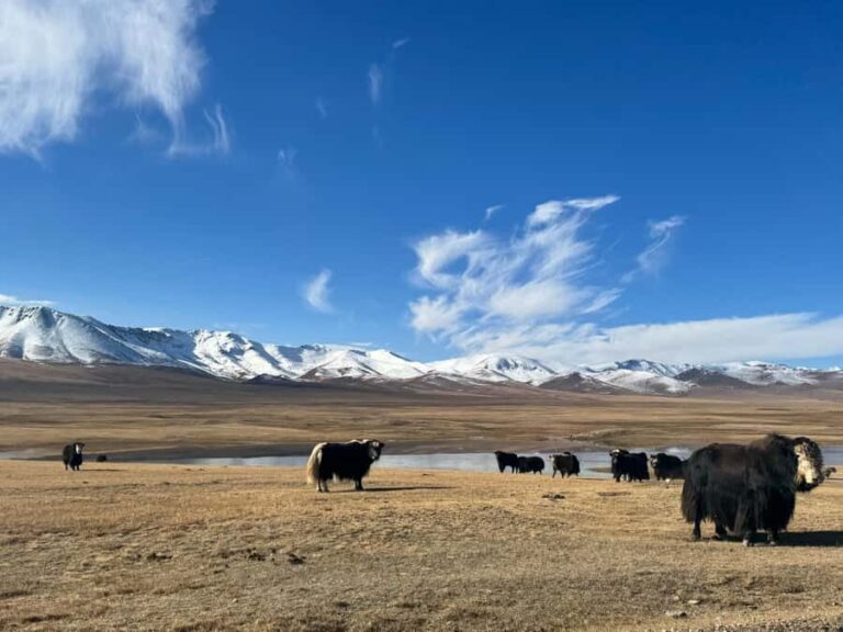 Song-Kul Lake : Kyrgyz Yurts Stay & Horseback Ride (2 DAYS) - Authentic Experiences That Make It Special
