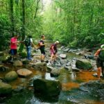 South Coast: Sinharaja Rainforest Walk and Waterfall - Practical Details and Value