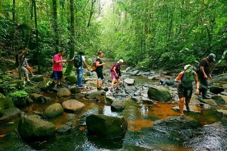 South Coast: Sinharaja Rainforest Walk and Waterfall - Practical Details and Value