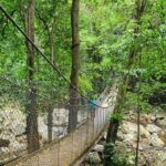 South Coast, Waterfals, Tempels, Kiama Blowhole Private Tour - Comfort, Transport, and Flexibility