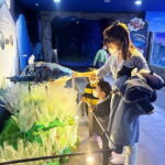 South Korea a Sea Life Busan - Why Visit SEA LIFE Busan?