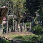 South Sulawesi, Toraja: Multiday Cultural Tour from Makassar - What Travelers Have Said