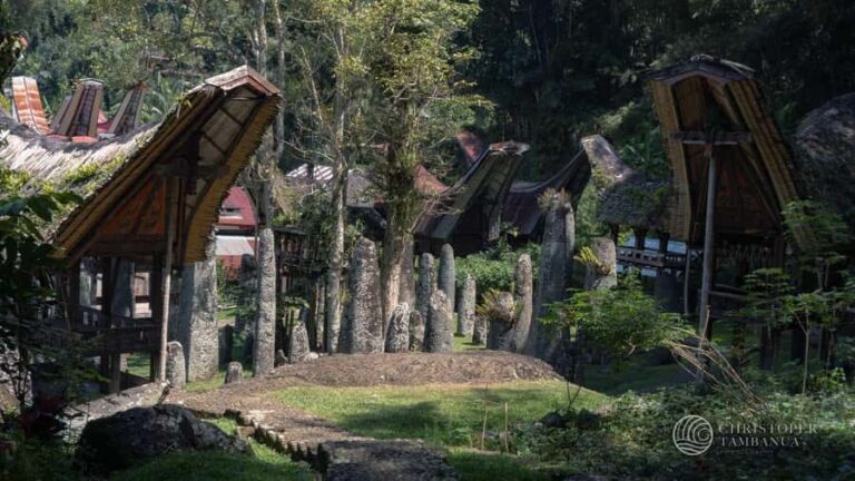 South Sulawesi, Toraja: Multiday Cultural Tour from Makassar - What Travelers Have Said