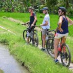 South Ubud: Electric Mountain Bike Tour - Heart of the Rice Fields - Half Day (Private) - The Route: Rice Fields, Villages, and Temples