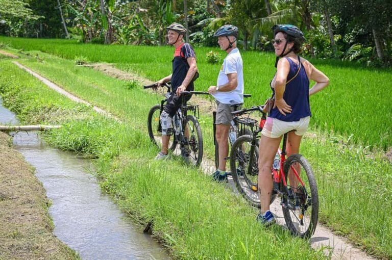 South Ubud: Electric Mountain Bike Tour - Heart of the Rice Fields - Half Day (Private) - The Route: Rice Fields, Villages, and Temples