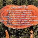 Southern Coast Highlights from Hambantota - Analyzing the Tour’s Value