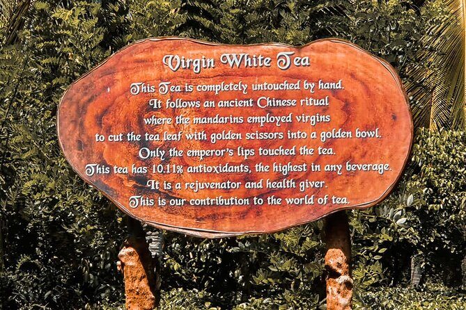 Southern Coast Highlights from Hambantota - Analyzing the Tour’s Value