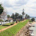 Southern Coast Highlights from Negombo - What the Tour Provides and What You Should Consider