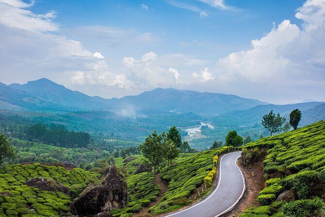 Southern India: Where Culture Meets Nature - The Sum Up