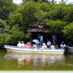 Southern Sri Lanka Sightseeing Private Day Trip - In-Depth Look at the Experience