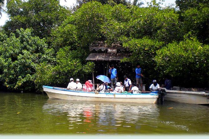 Southern Sri Lanka Sightseeing Private Day Trip - In-Depth Look at the Experience