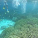 SouthWest Secret Gili,Gili Layar,Gili Gede&Gili Rengit - What Makes This Tour Stand Out