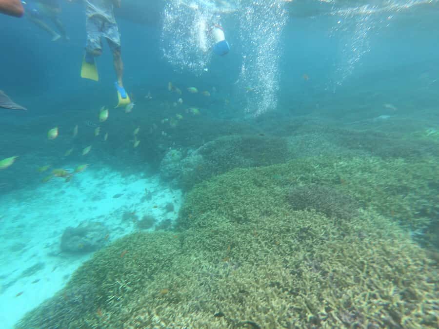 SouthWest Secret Gili,Gili Layar,Gili Gede&Gili Rengit - What Makes This Tour Stand Out