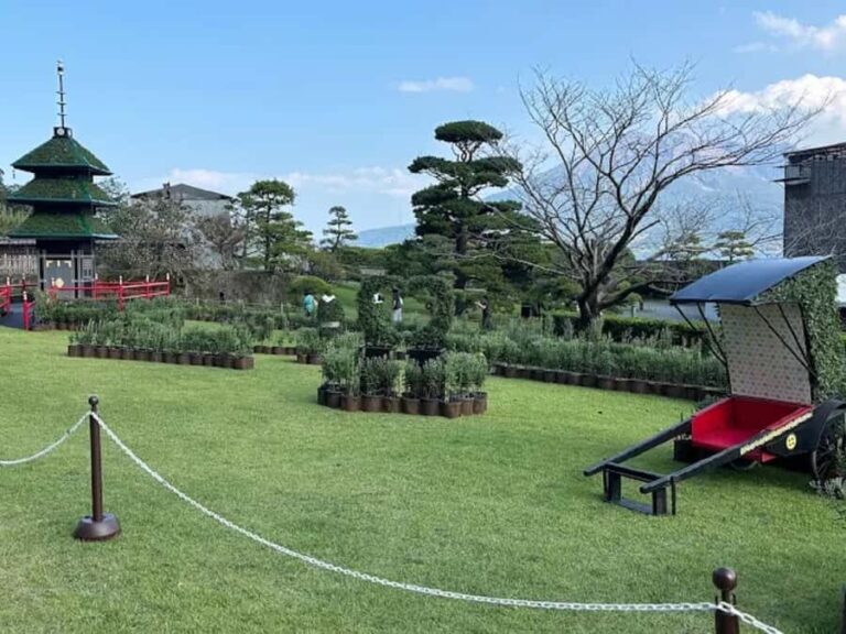 Sparks of Serenity: Discover Kagoshimas Soul Guided Tour - The Yunohira Observatory & Volcano Panorama