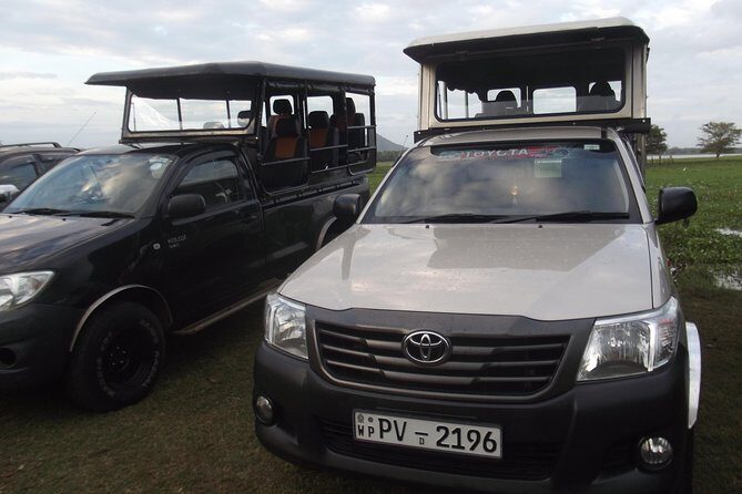 Special Leopards safari - Yala National park - 04.30 am to 11.30 am - Final Thoughts