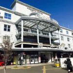 Spectrum of the Seas- Kumamoto Shore Excursion with Guide - Is This Tour Worth It?