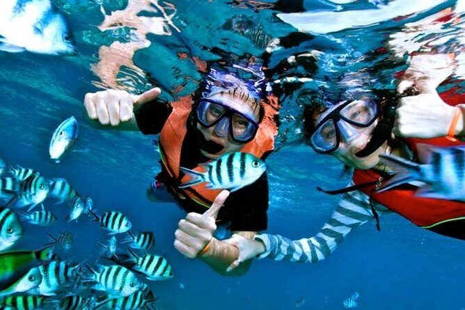 Speedboat Tour to Koh Tao and Koh Nang Yuan, with Snorkeling and Lunch - What’s Included and How It Adds Value