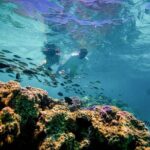 SPORT PRIVATE Catamaran Bora Bora : Half Day Trip - Practical Aspects to Consider