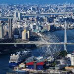 Spring LimitedNemophila Festival & Osaka Kaiyukan Day Trip - An In-Depth Look at the Nemophila Festival & Osaka Kaiyukan Day Trip