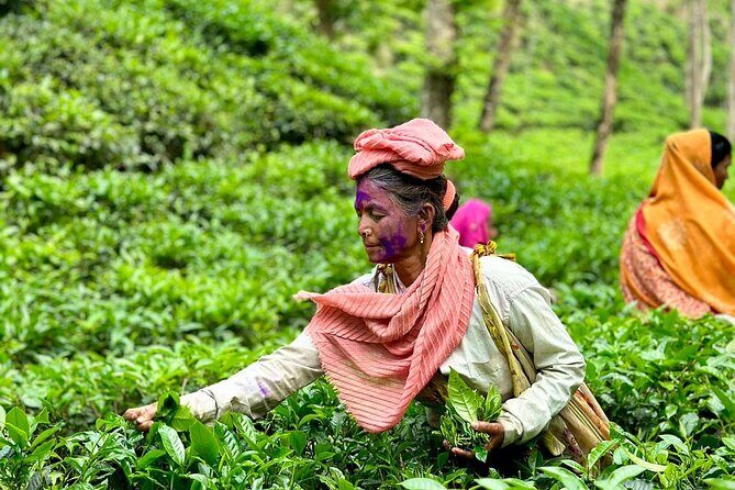 Sreemangal Tea Tour Experience Nature and Culture in a Local way - The Journey Begins: Day 1