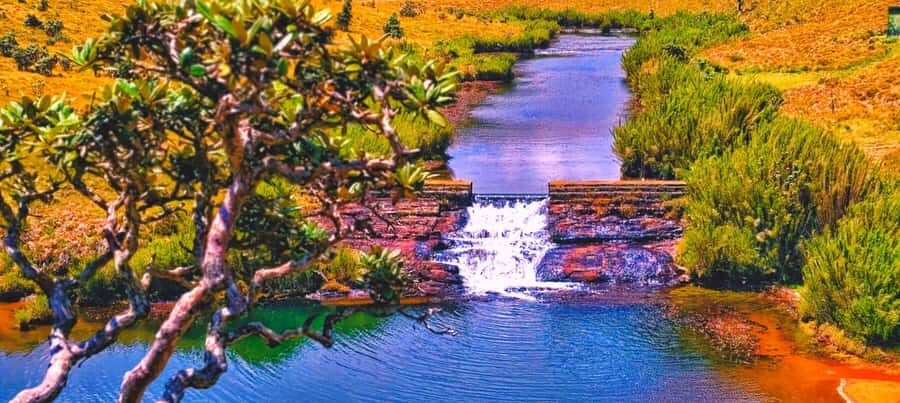 Sri Lanka: 10-Day Wildlife, Culture & Scenic Adventure - Final Thoughts: Who Will Love This Tour?