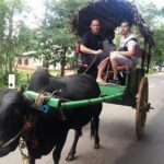 Sri Lanka: 10 Days tour with 3-4* Hotels(HB)Driver & Private Car - Practical Aspects & What You Need to Know