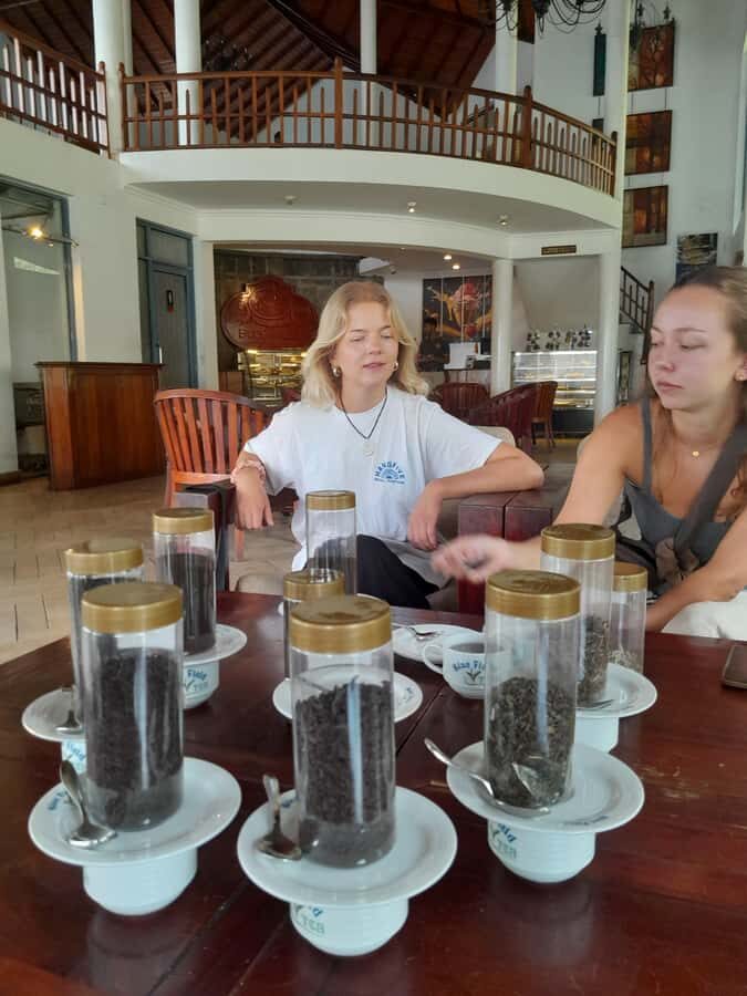 Sri Lanka: 15-Day Guided Tour with Transfers & Hotels - The Practicalities and Value