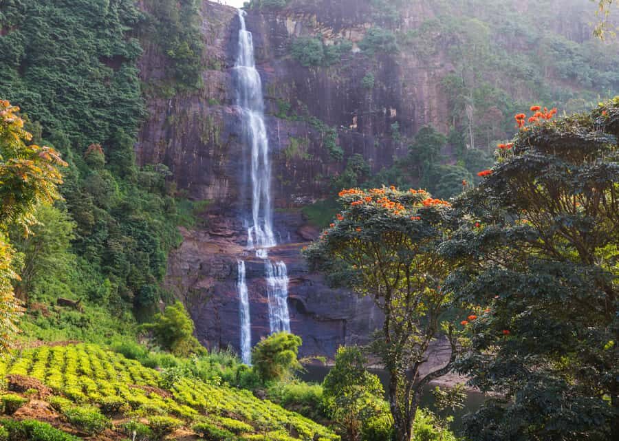 Sri Lanka 2-day Tour:Train Trip, Kandy, Nuwara Eliya, Ella - What Does This Tour Offer for You?