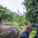 Sri Lanka: 7-Day Wildlife Safari and Eco Tour with Hotels - FAQs