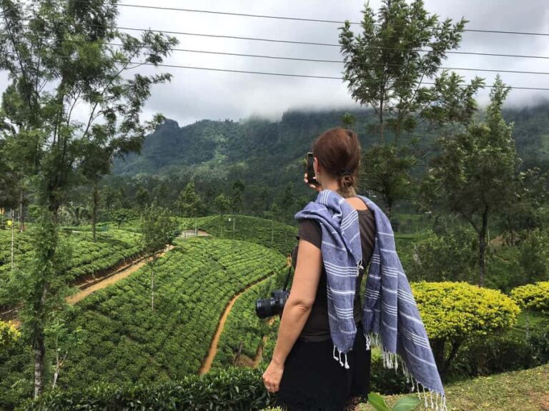 Sri Lanka 9 Day Private Tour by The Visit Lanka Tours - Final Thoughts: Who Will Love This Tour?